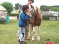/album/fotogaleria/equino-la-catal-005-jpg/